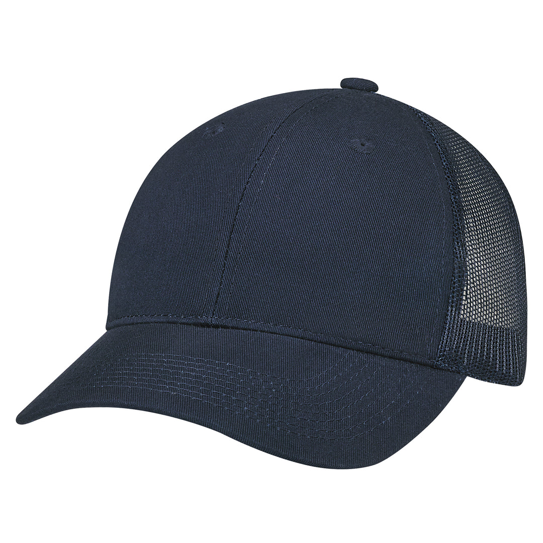 Mesh Back Cap